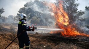 Πυροσβεστική: Στις 49 οι αγροτοδασικές πυρκαγιές το τελευταίο 24ωρο